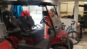 2024 Sierra LSV AX4 - Chief Cart Inc.