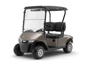 EZGO - RXV2 - Chief Cart Inc.