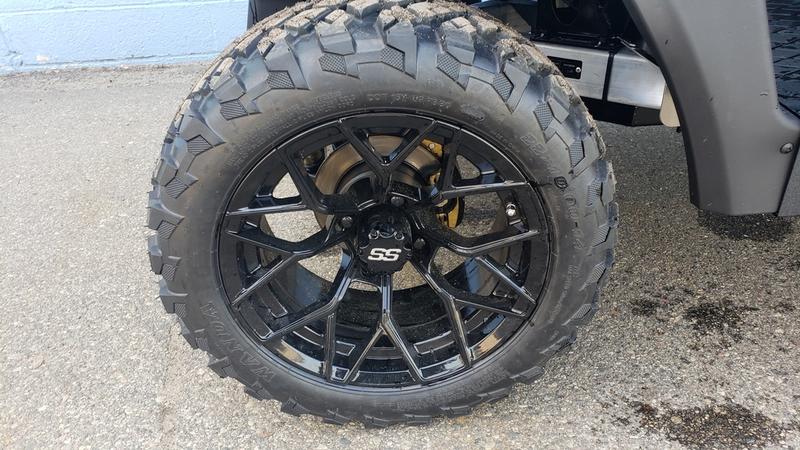 2024 Sierra LSV AX4 - Black - Chief Cart Inc.