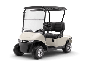 EZGO - RXV2 - Chief Cart Inc.